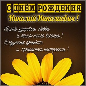 Картинка Николай Николаевич с днем рождения