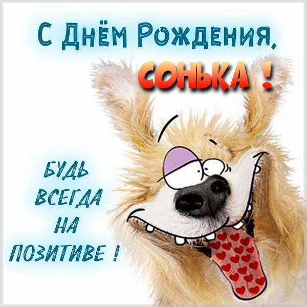 Прикольные поздравления с днем рождения Софии 💐 – бесплатные пожелания на Pozdravim