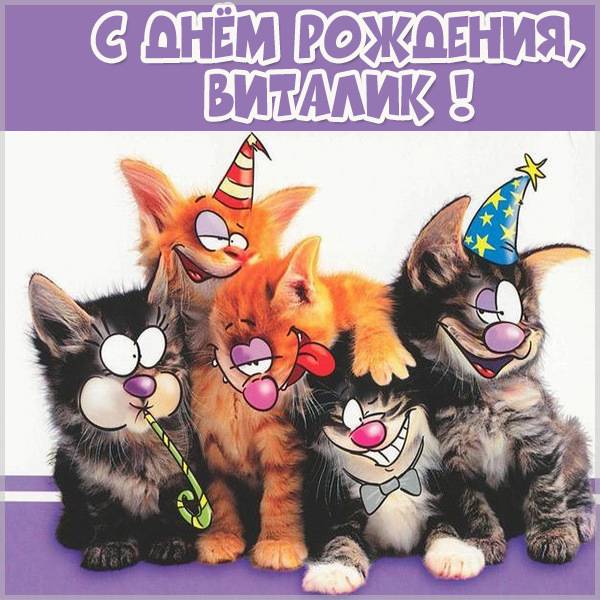 Прикольная открытка с днем рождения Виталик