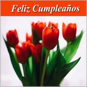 Поздравление с днем рождения на испанском - 53 фото