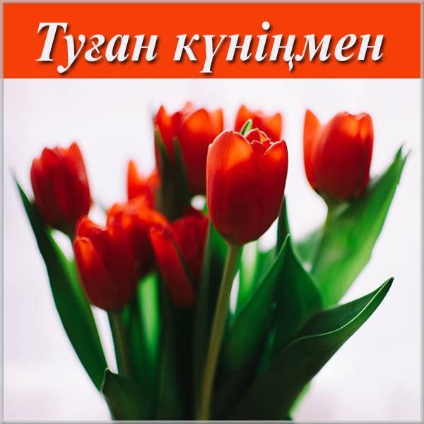 Поздравления с Новым годом на казахском с переводом на русский язык