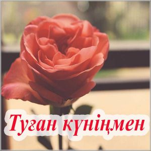 Открытка с днем рождения женщине на казахском