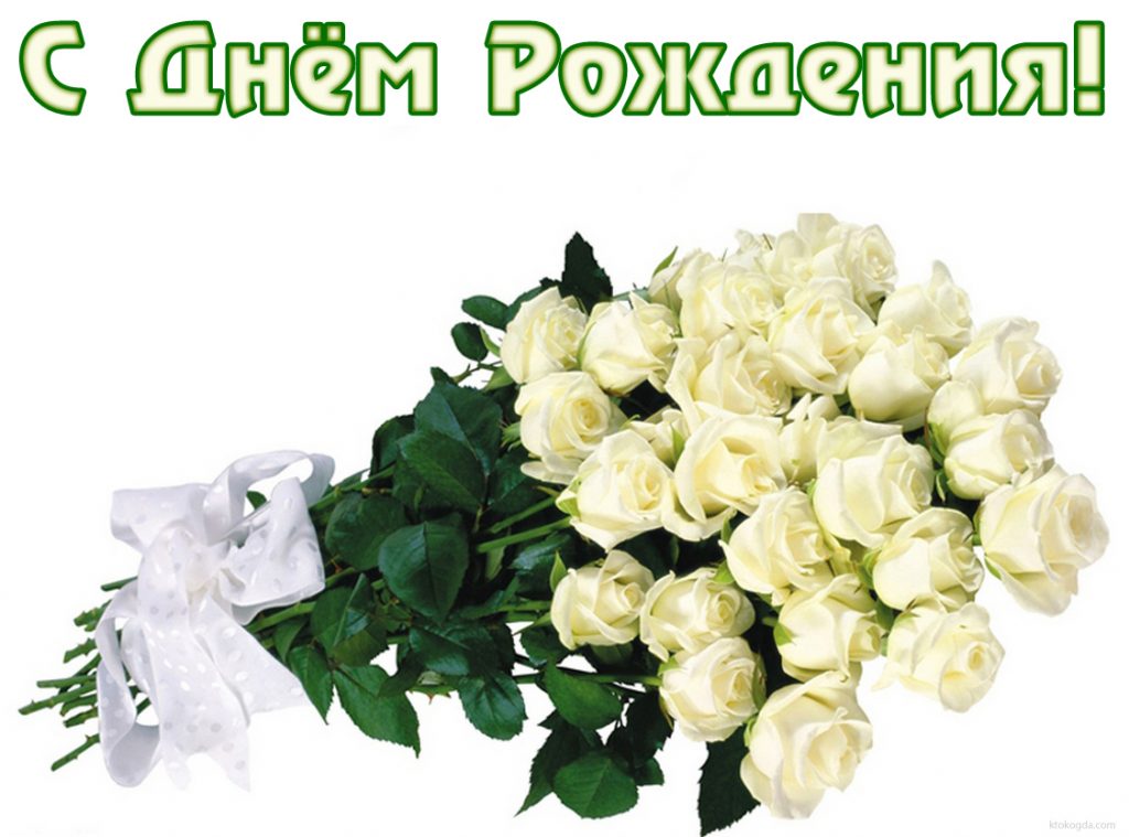 С Днем Рождения! Белые розы