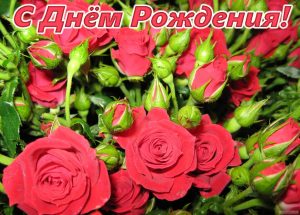 С Днем Рождения! Красные розы