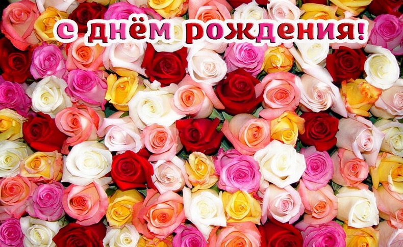 С днем рождения! Много разноцветных роз