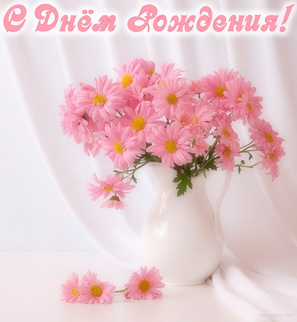 С Днем Рождения! Розовые цветы