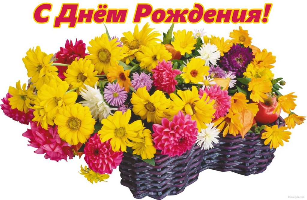 С Днем Рождения! Желтые цветы