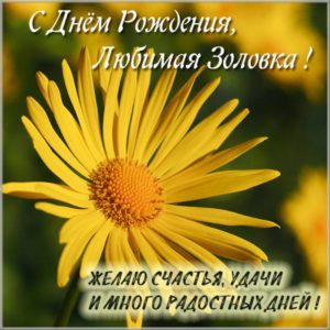 Картинка с днем рождения любимой золовке - скачать бесплатно на s-dnem-rozhdeniya.ru