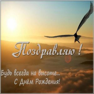 Картинка с днем рождения с птицей - скачать бесплатно на s-dnem-rozhdeniya.ru