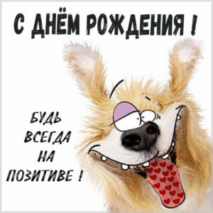 Картинка с днем рождения с собачкой - скачать бесплатно на s-dnem-rozhdeniya.ru