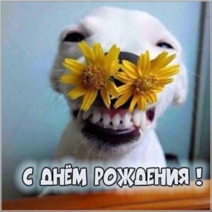 Картинка с днем рождения с собакой - скачать бесплатно на s-dnem-rozhdeniya.ru