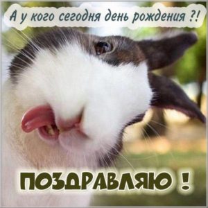 Картинка с днем рождения с зайцем - скачать бесплатно на s-dnem-rozhdeniya.ru