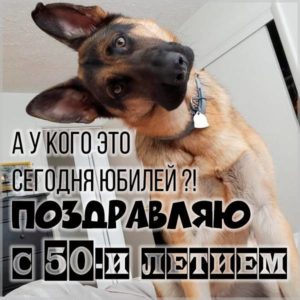 Картинка с юбилеем на 50 летие - скачать бесплатно на s-dnem-rozhdeniya.ru