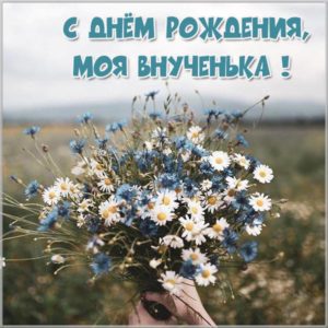 Красивая бесплатная картинка с днем рождения внучки - скачать бесплатно на s-dnem-rozhdeniya.ru