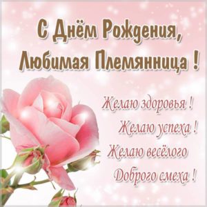 Красивая картинка с днем рождения племяннице - скачать бесплатно на s-dnem-rozhdeniya.ru