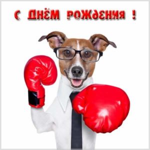 Открытка с днем рождения боксеру - скачать бесплатно на s-dnem-rozhdeniya.ru