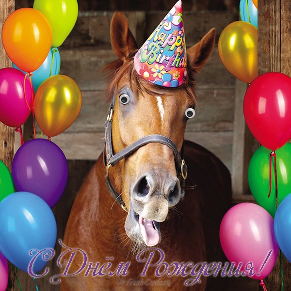 Открытка с днем рождения с лошадью - скачать бесплатно на s-dnem-rozhdeniya.ru
