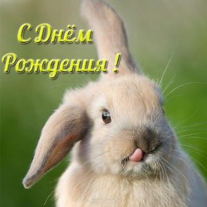 Открытка с днем рождения с зайчиком - скачать бесплатно на s-dnem-rozhdeniya.ru