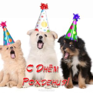 Открытка с днем рождения со щенками - скачать бесплатно на s-dnem-rozhdeniya.ru