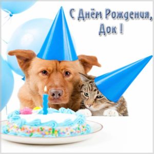 Открытка с днем рождения ветеринару - скачать бесплатно на s-dnem-rozhdeniya.ru