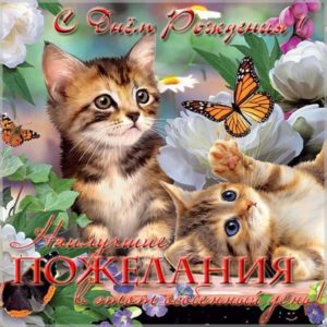 Открытка с днем рождения женщине с котятами - скачать бесплатно на s-dnem-rozhdeniya.ru