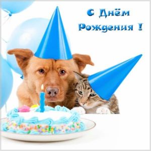 Открытка с днем рождения женщине с собачкой - скачать бесплатно на s-dnem-rozhdeniya.ru