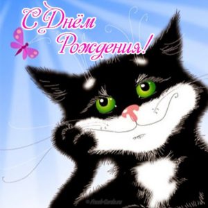 Открытка с котятами на день рождения - скачать бесплатно на s-dnem-rozhdeniya.ru