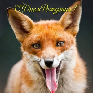 Открытка с лисичкой на день рождения - скачать бесплатно на s-dnem-rozhdeniya.ru