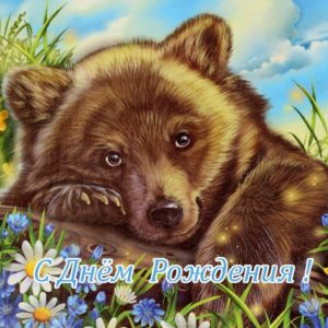 Открытка с медведем с днем рождения - скачать бесплатно на s-dnem-rozhdeniya.ru