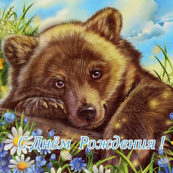 Симпатичные С Днем Рождения открытки с забавными медведя в - клипарт в векторе