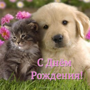 Открытка со щенком с днем рождения - скачать бесплатно на s-dnem-rozhdeniya.ru