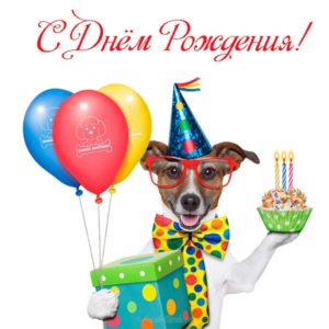 Поздравительная открытка с днем рождения с собаками - скачать бесплатно на s-dnem-rozhdeniya.ru