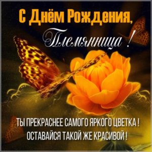 Поздравление с днем рождения племяннице в картинке - скачать бесплатно на s-dnem-rozhdeniya.ru