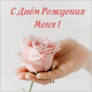 Прикольная картинка на свой день рождения с цветами - скачать бесплатно на s-dnem-rozhdeniya.ru