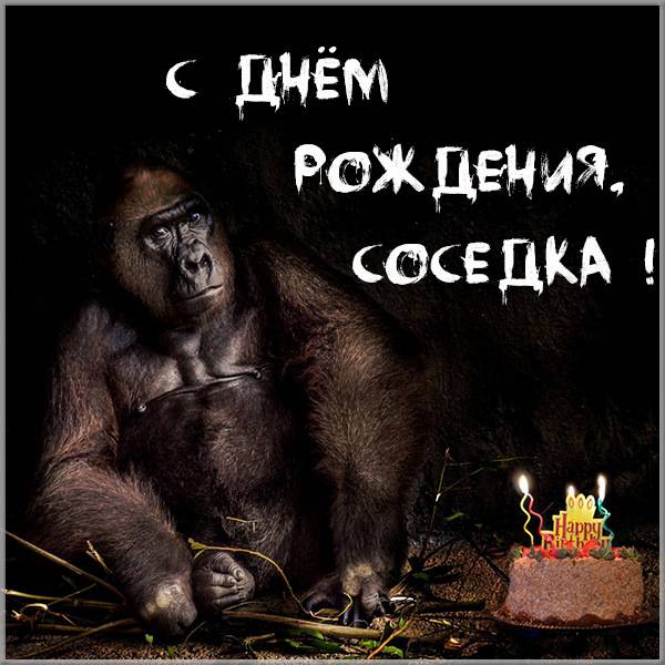 Прикольная картинка с днем рождения соседка - скачать бесплатно на s-dnem-rozhdeniya.ru