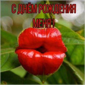 Прикольная картинка у меня день рождения с цветами - скачать бесплатно на s-dnem-rozhdeniya.ru