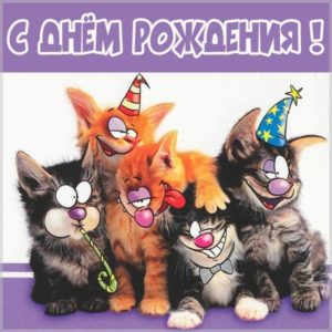Прикольная открытка с днем рождения с котятами - скачать бесплатно на s-dnem-rozhdeniya.ru