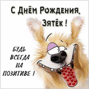 Прикольная открытка с днем рождения зятю - скачать бесплатно на s-dnem-rozhdeniya.ru