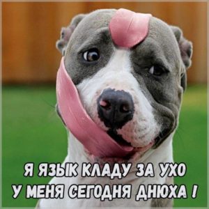 Смешная фото картинка с днем рождения меня - скачать бесплатно на s-dnem-rozhdeniya.ru