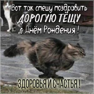 Смешная картинка с днем рождения теща - скачать бесплатно на s-dnem-rozhdeniya.ru